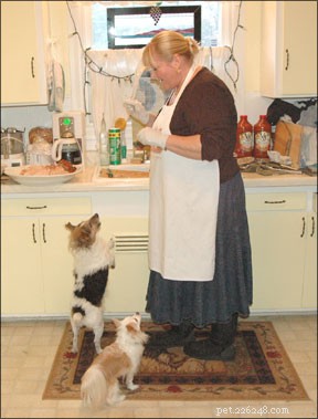 Understanding Canine Behavior: Debunking Myths for Dogs & Puppies