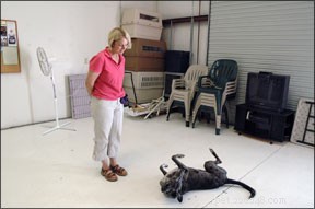 Mastering Canine Stimulus Control with Positive Training Techniques