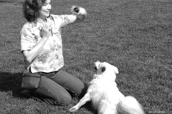 Effective Strategies to Reduce Excessive Dog Barking