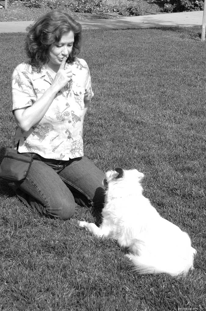Effective Strategies to Reduce Excessive Dog Barking