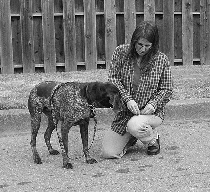 Effective Strategies to Reduce Excessive Dog Barking