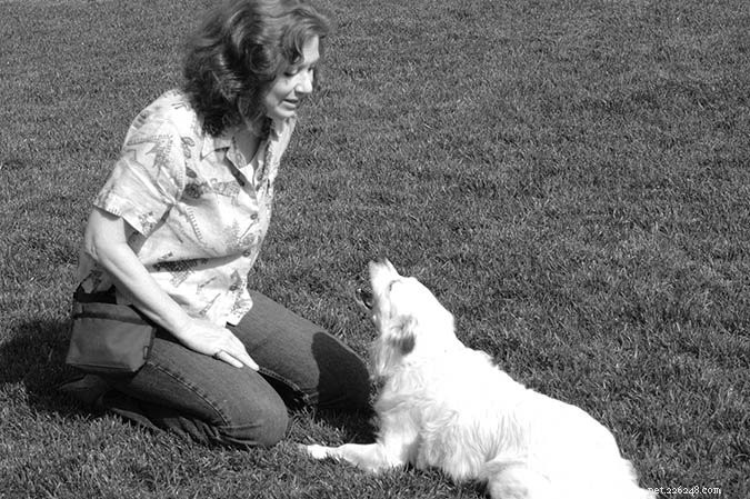 Effective Strategies to Reduce Excessive Dog Barking