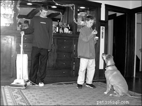 Effective Strategies to Alleviate Your Dog’s Anxiety