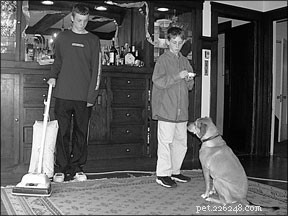 Effective Strategies to Alleviate Your Dog’s Anxiety