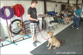 Getting to Know Your New Dog: Build Trust, Health, and Happiness