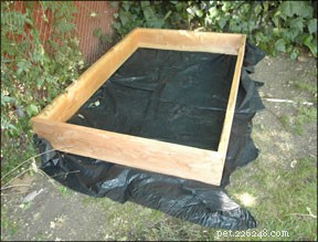How to Stop Your Dog from Digging the Yard: Proven Tips & Solutions