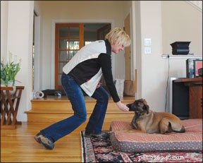 How to Stop Your Dog from Barking at the Front Door