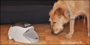 How to Stop Your Dog from Barking at the Front Door