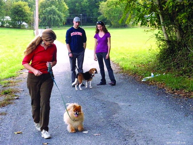 Improve Your Dog’s Aggressive Behavior with Constructional Aggression Treatment (CAT)