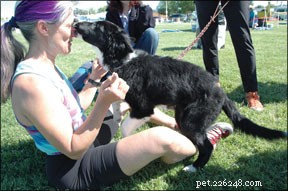 Understanding and Managing Demand Behaviors in Dogs