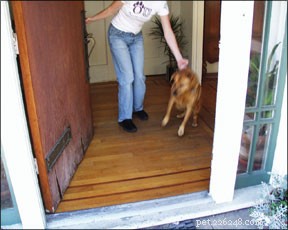 Preventing Door Darting: 5 Expert Tips to Keep Your Dog Safe