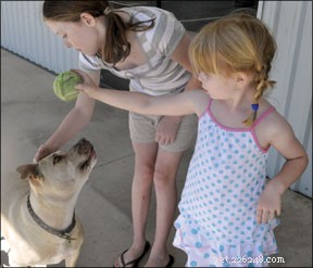 Master Bite Inhibition: Teach Your Dog to Bite Safely & Responsibly