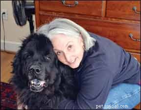 How to Relieve Your Dog s Car Phobia: Expert Tips & Solutions