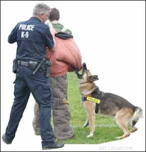Rethinking the  Alpha Dog  Myth: A Scientific Perspective