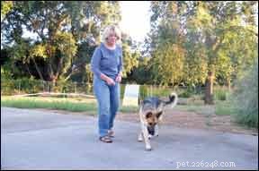 Boost Your Dog’s Confidence: Proven Strategies for Fearful Pups