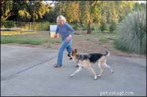 Boost Your Dog’s Confidence: Proven Strategies for Fearful Pups