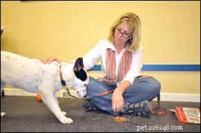 Dog Touch & Restraint Desensitization: A Step‑by‑Step Protocol