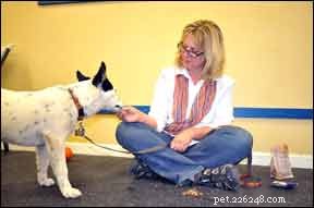 Dog Touch & Restraint Desensitization: A Step‑by‑Step Protocol