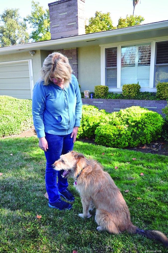What Your Body Language Tells Your Dog: Expert Insights