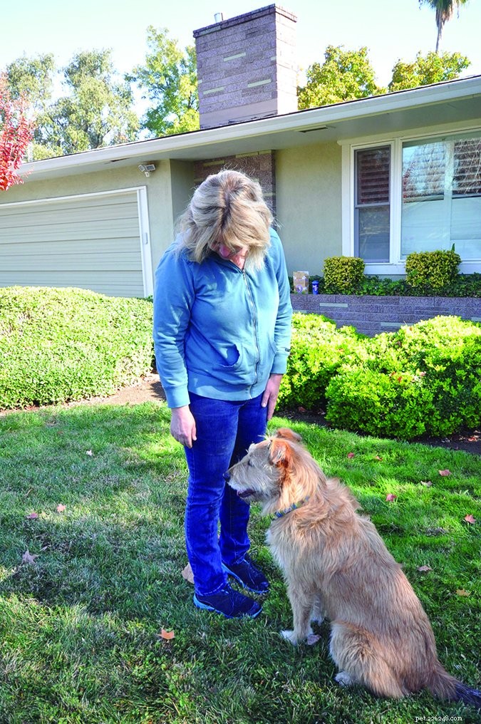 What Your Body Language Tells Your Dog: Expert Insights