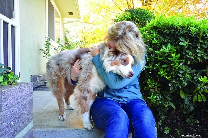 What Your Body Language Tells Your Dog: Expert Insights