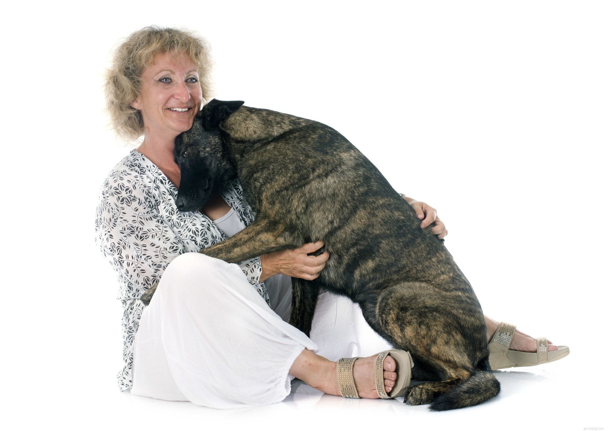 Debunking 7 Common Myths About Separation Anxiety in Dogs