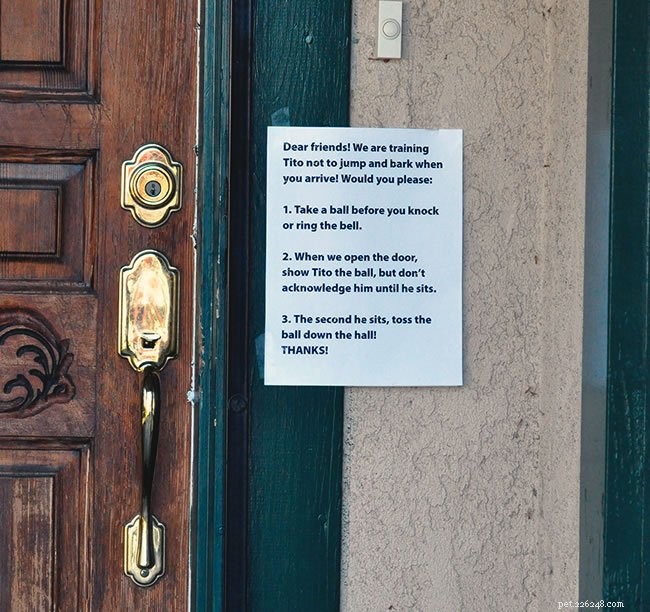 3 Proven Steps to Calm Your Dog’s Door-Entry Excitement