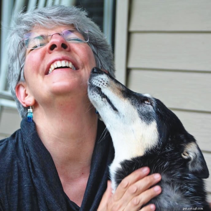 Effective Solutions for Dogs That Obsess Over Doors