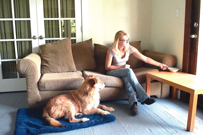 Teach Your Dog to Calmly Settle Down: A Positive Reinforcement Guide