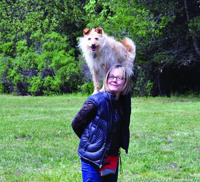 Debunking Common Dog Myths: Separating Fact from Fiction