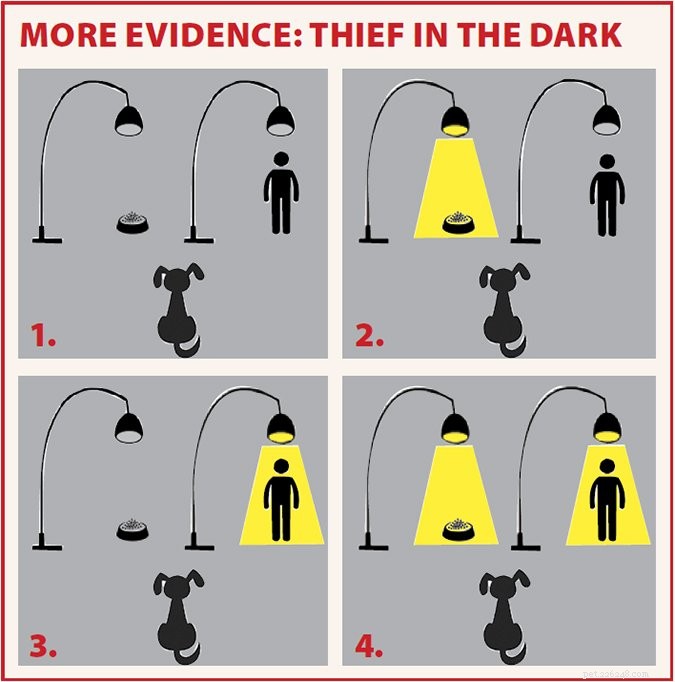 Managing a Food‑Thieving Dog: Practical Solutions