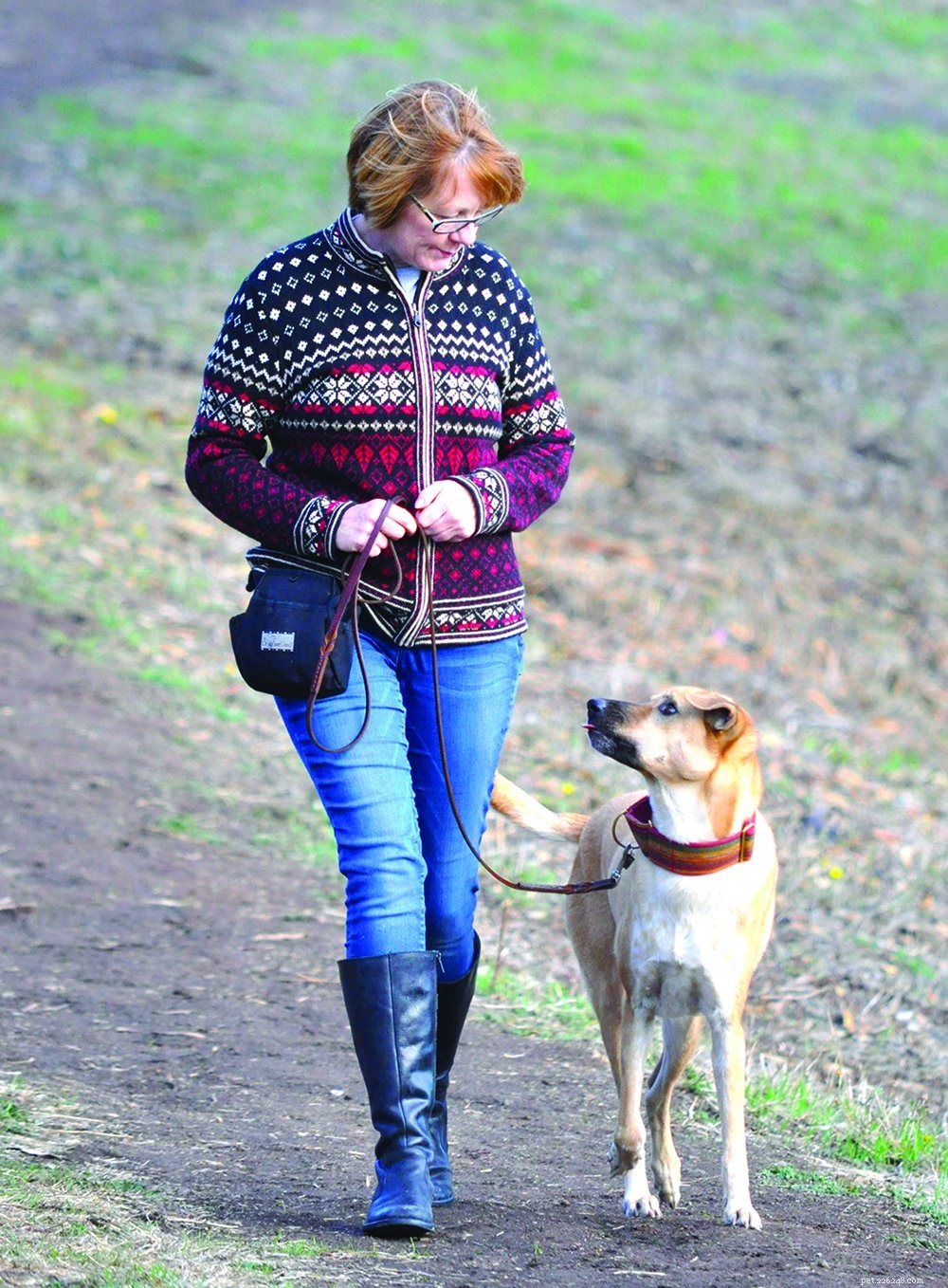 Mastering Eye Contact: The Key to Effective Dog Training