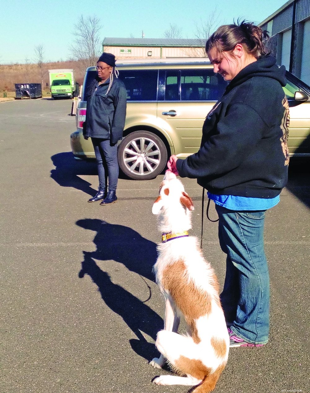 Can Dogs Show Bias? A Guide to Understanding Your Pet’s Social Behavior