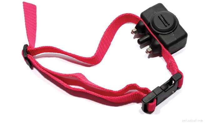 Are Electric Shock Collars Safe for Dogs? An In-Depth Review
