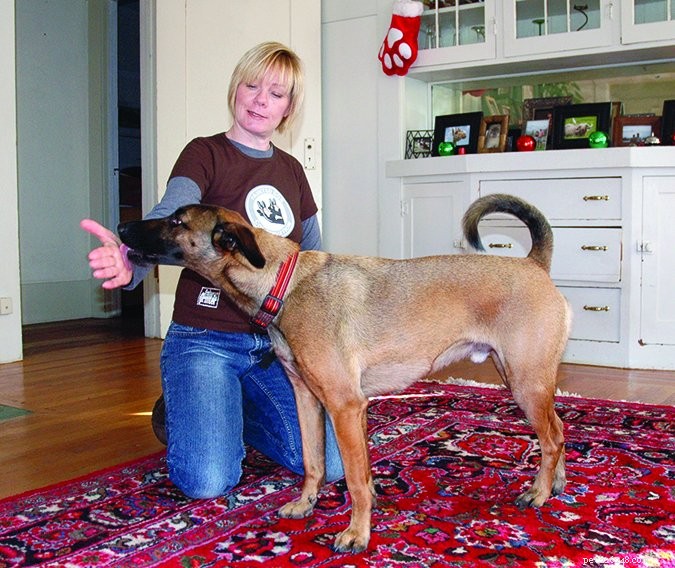 Is Your Dog More Fearful Now? Expert Analysis & Proven Solutions