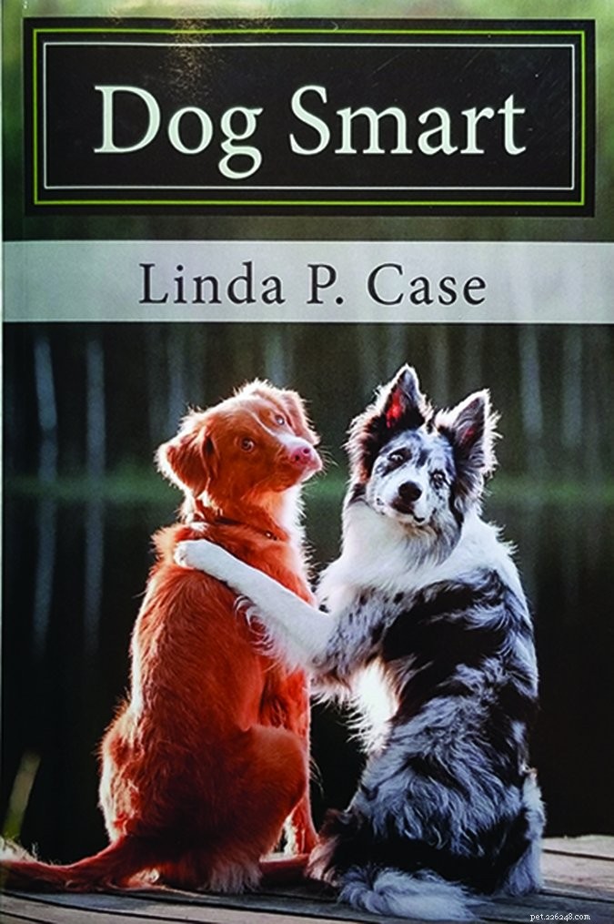 Dogs vs. Wolves: Unveiling the Truth About Our Canine Companions