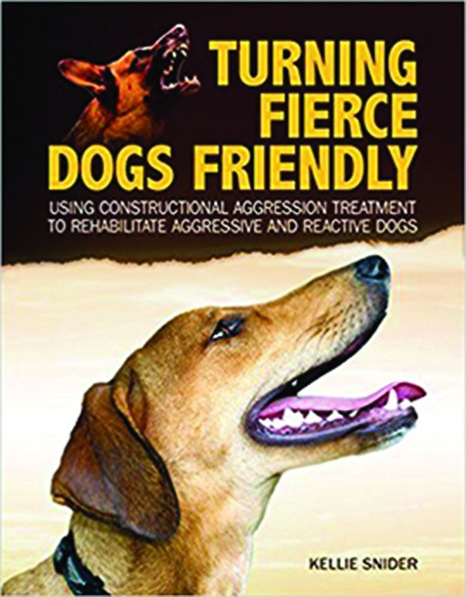Preventing Fence Aggression: Safe Strategies for Your Dog
