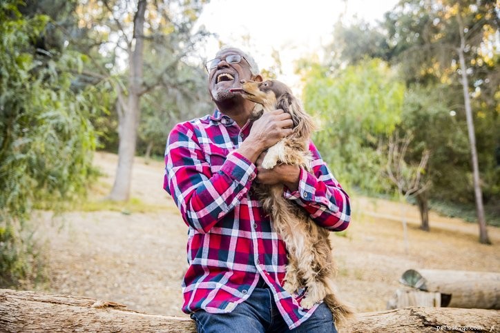Understanding Dog Kisses: Are They Truly Signs of Affection?