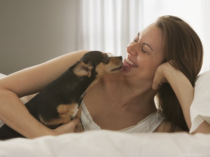 Understanding Dog Kisses: Are They Truly Signs of Affection?