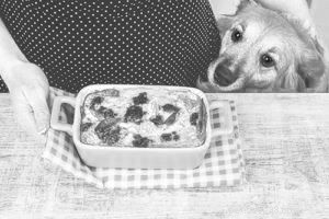 Why Ignoring Your Dog Can Backfire: A Science-Backed Approach