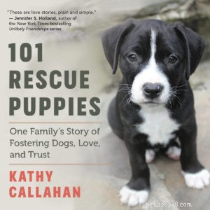 Fostering Rescue Puppies: A Safe, Loving Home for Young Dogs