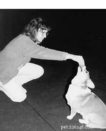 Tail-Wagging Training: Donna Duford’s Fun, Science-Based Dog Seminars