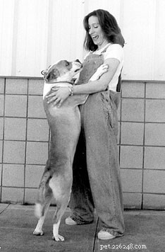 Stop the Jump: Proven Training to Keep Your Dog Off You