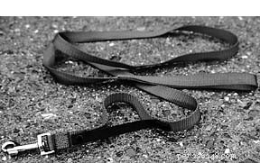 Leading Leashes: The Ultimate Guide to Harnesses and Collars for Safe, Controlled Walks