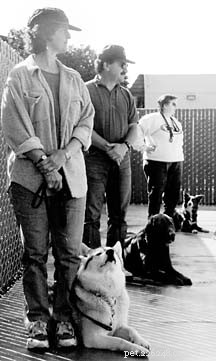 How to Pick the Ideal Dog Trainer: A Comprehensive Guide