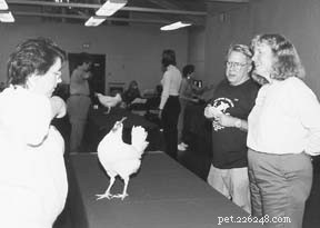 Enhancing Dog Training by Teaching Chickens: Insights from a Unique Workshop