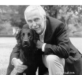 The Risks of Force-Based Dog Training: Understanding Unintended Consequences