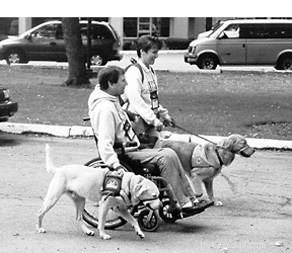 The Risks of Force-Based Dog Training: Understanding Unintended Consequences