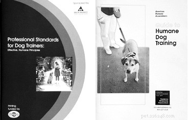 Top Books for Positive Dog Training: Build Trust & Bond with Your Canine