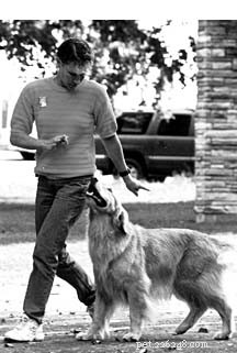Training Deaf Dogs: Proven Strategies & Hand Signals